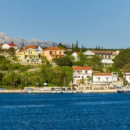 Levant Maslenica